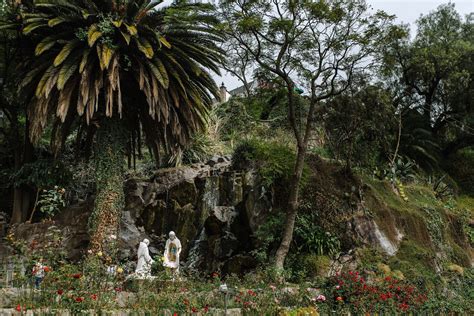 The Pilgrimage to Guadalupe: Sacred Renewal in Mexico City | ReVista