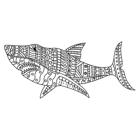 Shark line art 11674695 Vector Art at Vecteezy