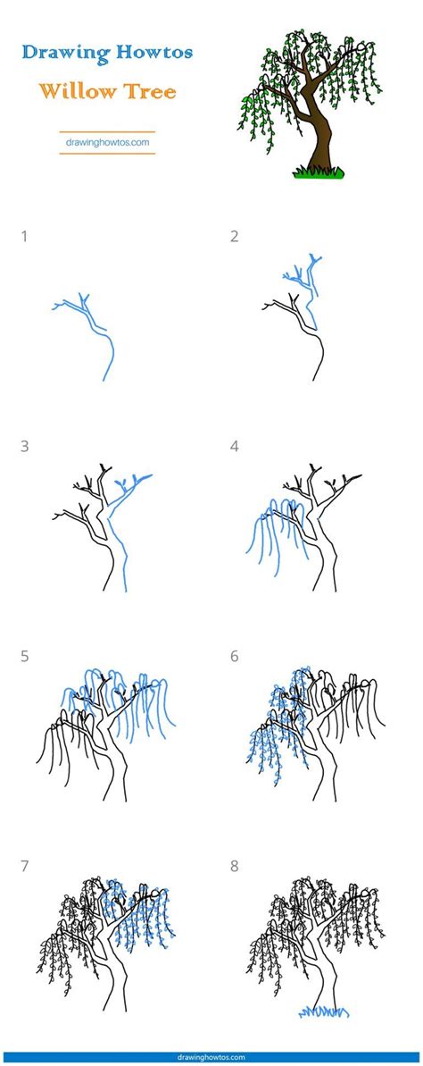 How To Draw A Willow Tree - Drawing.rjuuc.edu.np