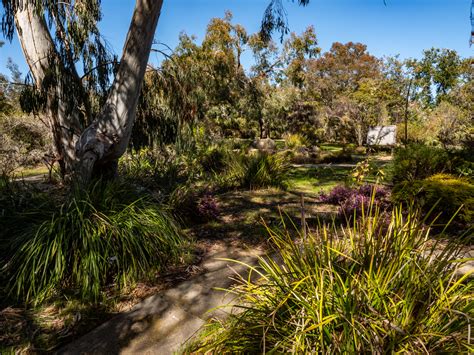 UC Santa Cruz Arboretum & Botanic Garden