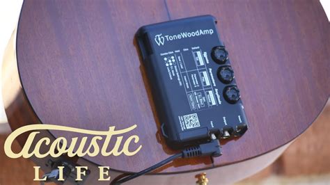 Tonewood Amp Review - YouTube