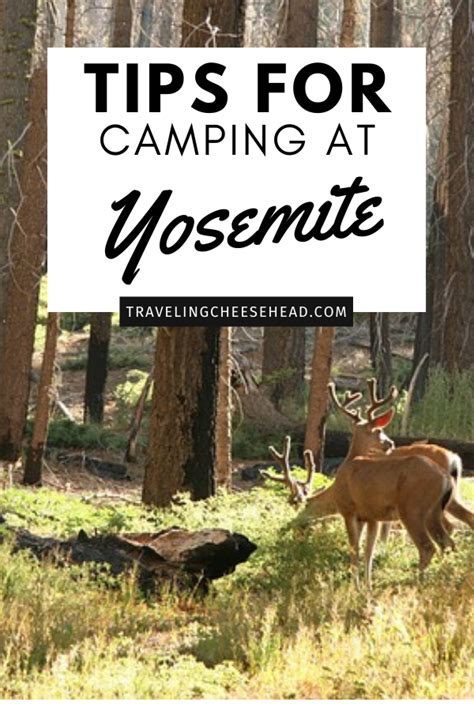 Tips for Camping At Yosemite - Crazy Camping Girl