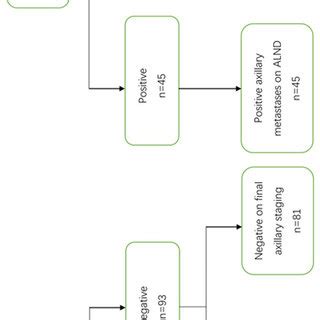 Schematic diagram of percutaneous biopsy results by types and surgical... | Download Scientific ...