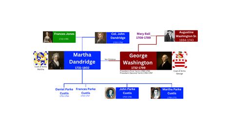 George and Martha Washington's family tree chart : r/UsefulCharts