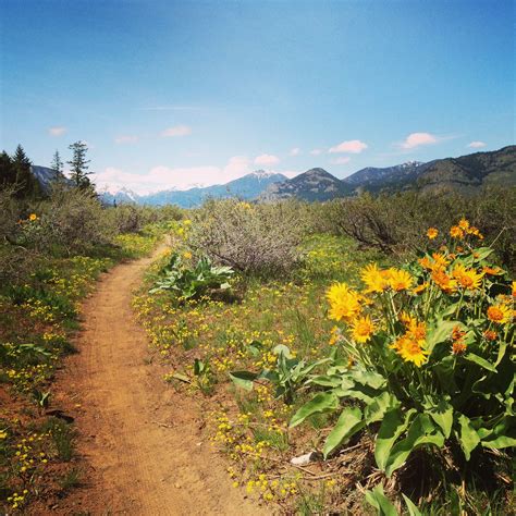 Lovely spring hiking and biking trail