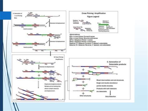 Molecular diagnostics techniques