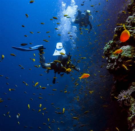 Best Places to go Scuba-Diving - Traveler Dreams