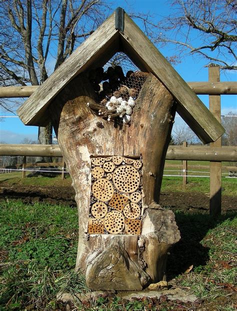 Insect Hotel • Insteading