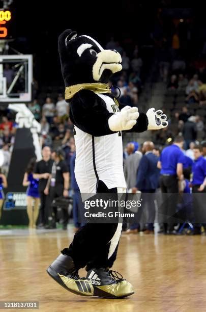 Wofford Mascot Photos and Premium High Res Pictures - Getty Images