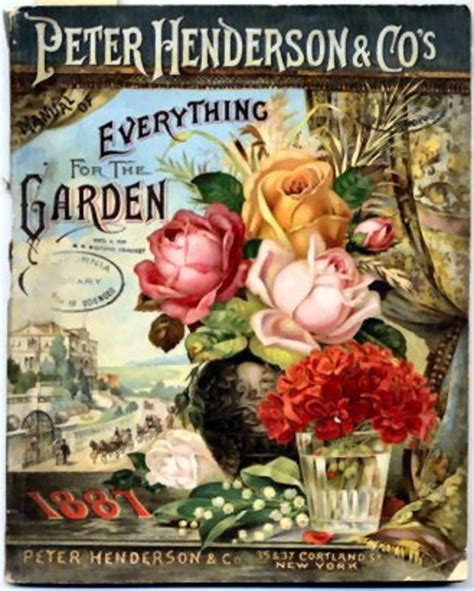 Free Vintage Flowers and Seed Packets Images | HubPages