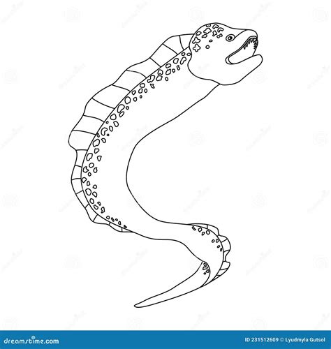 Moray Eel. Sketch. Contour Drawing of Sea Animal Moray Eel with Open ...