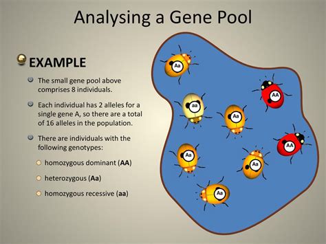 Gene Pool Example