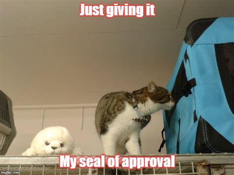 Seal of approval - Imgflip