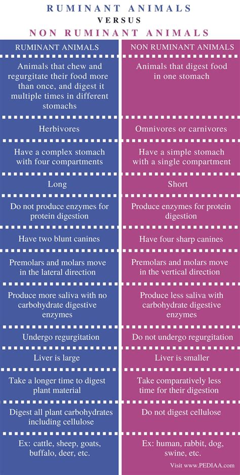 Difference Between Ruminant and Non Ruminant Animals - Pediaa.Com