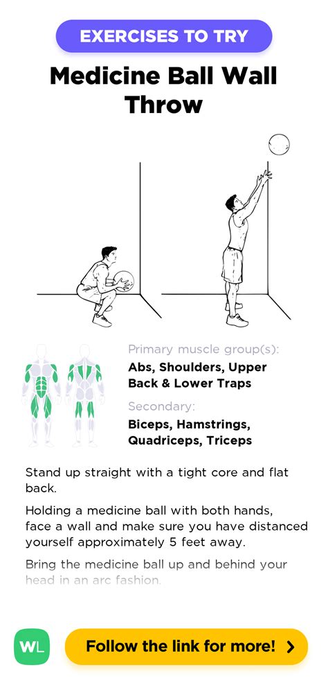 Medicine Ball Wall Throw – WorkoutLabs Exercise Guide