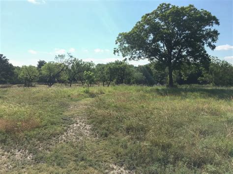 Cooper Springs Nature Park | Birding Locations