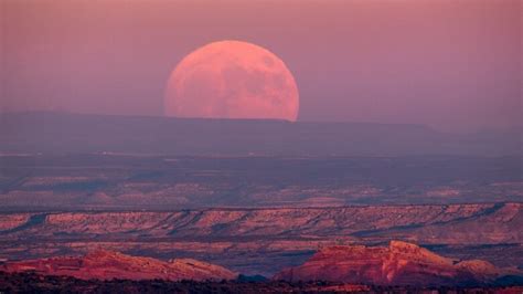 What you need to know about the supermoon | CBC News