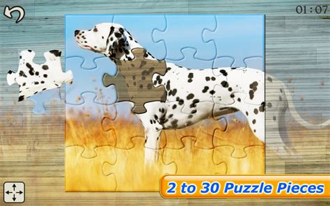 Dog Puzzles - Jigsaw Puzzle Game for Kids with Real Pictures of Cute ...