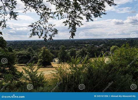 The View from Richmond Hill Stock Photo - Image of landscape, forest ...