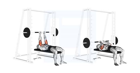 Smith Close Grip Bench Press - Guide, Benefits, and Form