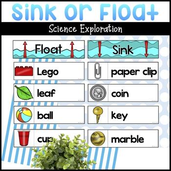 Sink or Float Science Exploration by Turner Tots | TPT