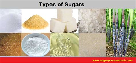 How Many Types of Sugars Lets Know