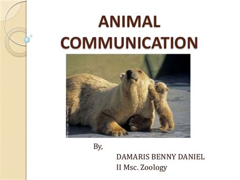 Animal communication