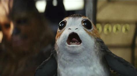 Porgs Are The Newest 'Star Wars' Creatures, And We Are Obsessed