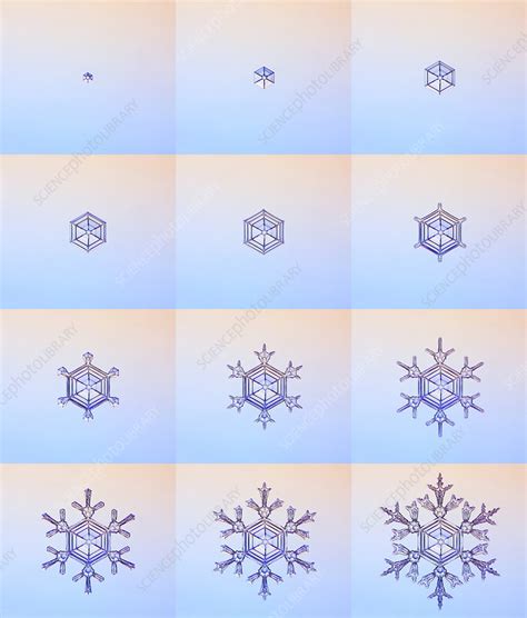 Snowflake formation, montage - Stock Image - C026/4548 - Science Photo ...