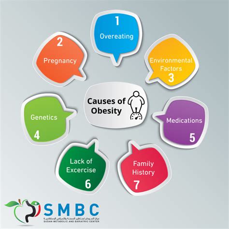 Causes of obesity – SMBC