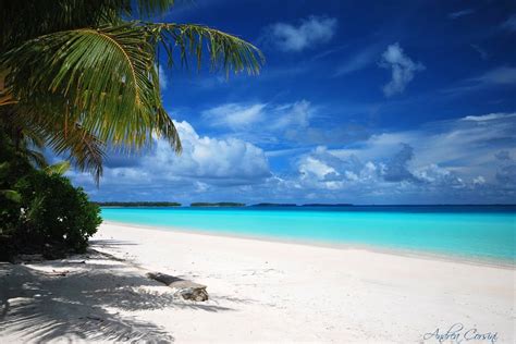 tipical lagoon view marshal island | Majuro, Marshall islands, Island beach