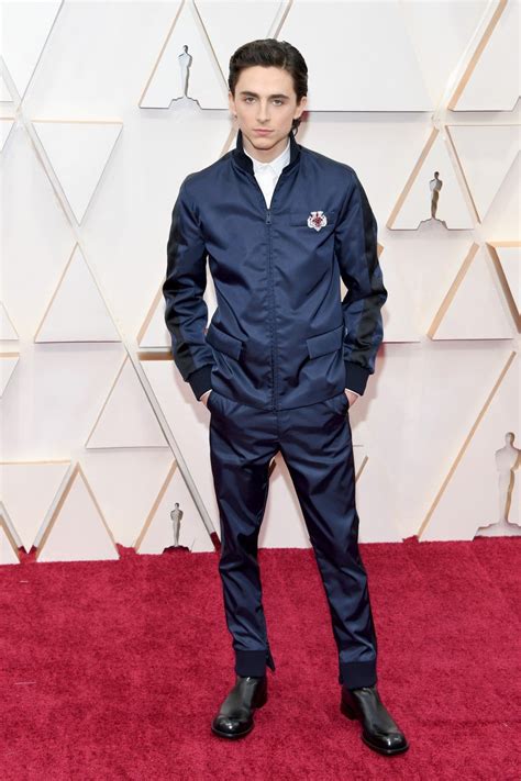 Timothée Chalamet Is One Stylish Stud in Navy Ensemble at 2020 Oscars