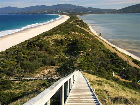 Bruny Island Neck | Nature and wildlife | Discover Tasmania