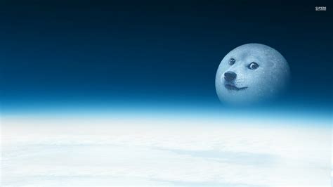 Doge Space Wallpaper (69+ images)