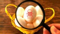 English Salmonella outbreak linked to eggs from Poland | Food Safety News