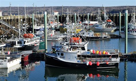 New Processing Facility to be Built in Digby | Atlantic Fisherman