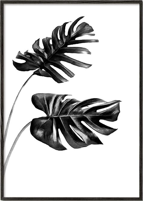 0 Photo Panel, Collage Artwork, Plant Leaves, Black And White, Poster, Tatt, Decorating ...