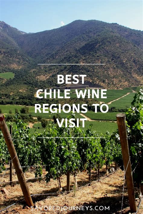 Best Chile Wine Regions to Visit - Savored Journeys