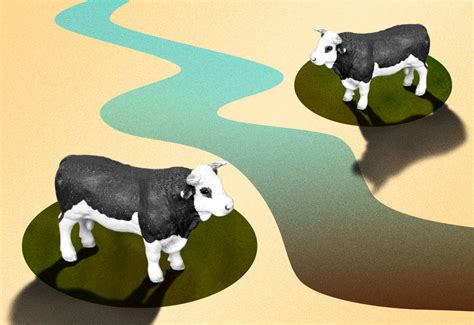 How a massive new cattle feedlot threatens one of Iowa's last pristine waterways | Grist