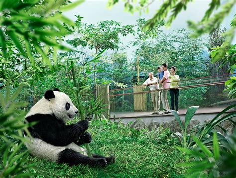 2-in-1 Park Admission (Singapore Zoo & River Wonders) in Singapore from ...