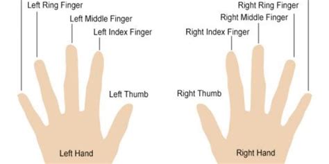 Spiritual Meaning Of Finding A Ring - CHURCHGISTS.COM