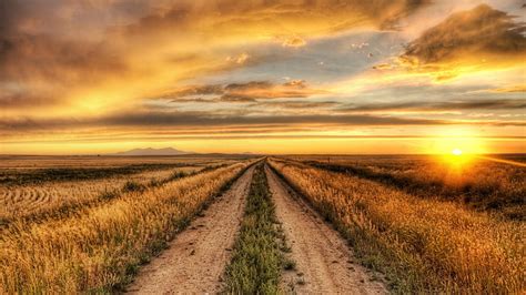 HD wallpaper: country, road, sunset, field, pathway, sky, landscape ...