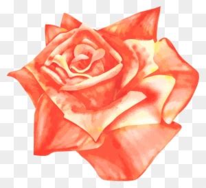 Gold Roses Cliparts 26, Buy Clip Art - Rosas Color Salmon Png - Free ...