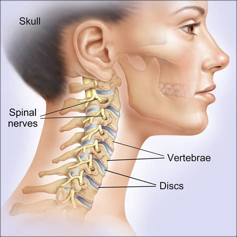 Artificial Disc (neck) – Yanni