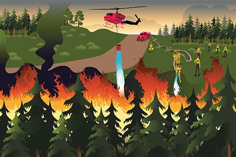 Royalty Free Forest Fire Clip Art, Vector Images & Illustrations - iStock