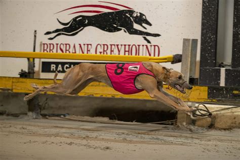 Townsville gears up for its richest Cup program - Chase News