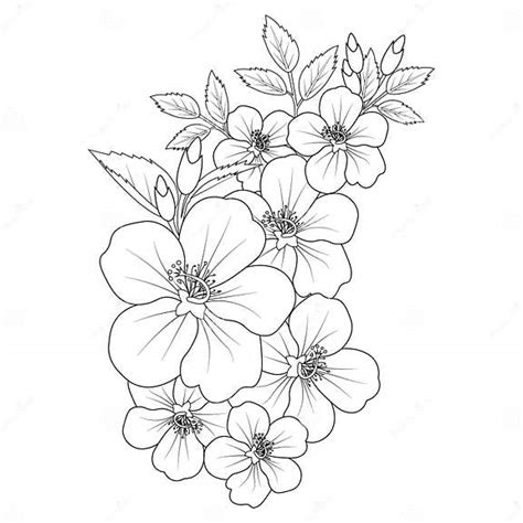 Disegno Di Zendoodle Di Fiori Di Ibisco. Bouquet Di Pagine Di ...