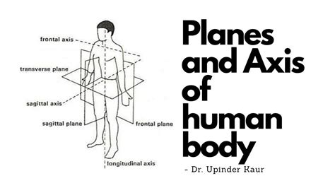 Oblique Plane Anatomy