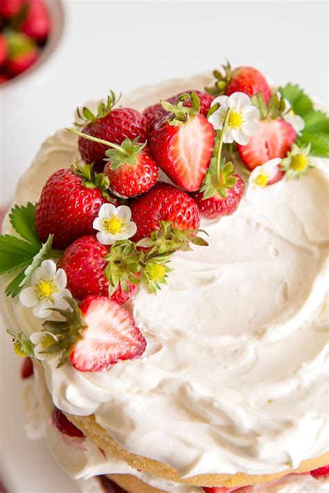 Strawberry Shortcake Decorated Cakes | Shelly Lighting