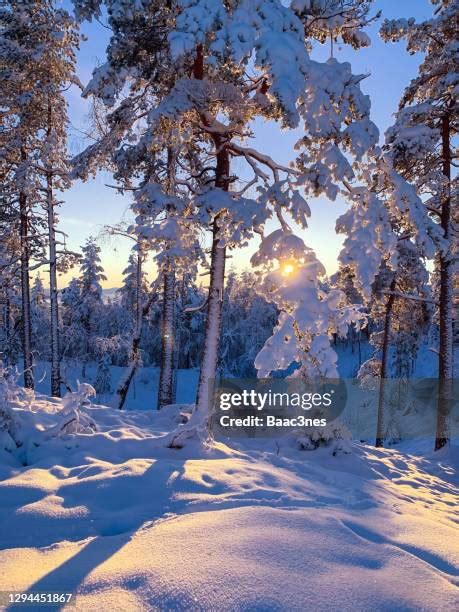 Drammen Winter Photos and Premium High Res Pictures - Getty Images